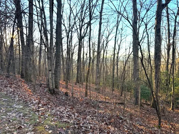 $229,900 | 7.0-ac Laurel Drive, Marble, NC 28905