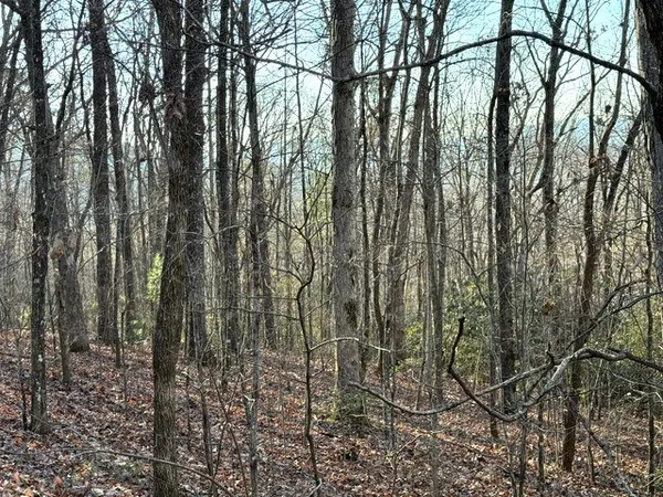 $229,900 | 7.0-ac Laurel Drive, Marble, NC 28905