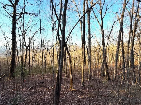 $229,900 | 7.0-ac Laurel Drive, Marble, NC 28905
