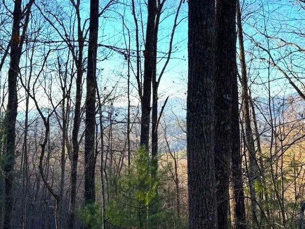 $229,900 | 7.0-ac Laurel Drive, Marble, NC 28905