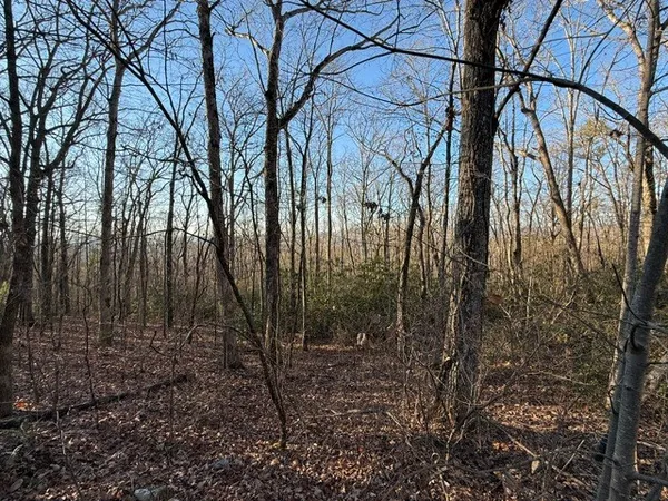 $229,900 | 7.0-ac Laurel Drive, Marble, NC 28905