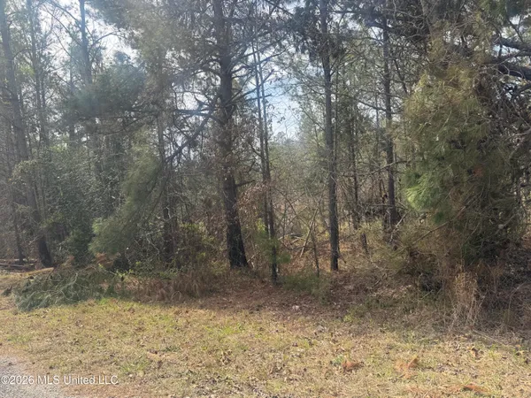 $77,000 | Musgray Road, Waterford, MS 38685