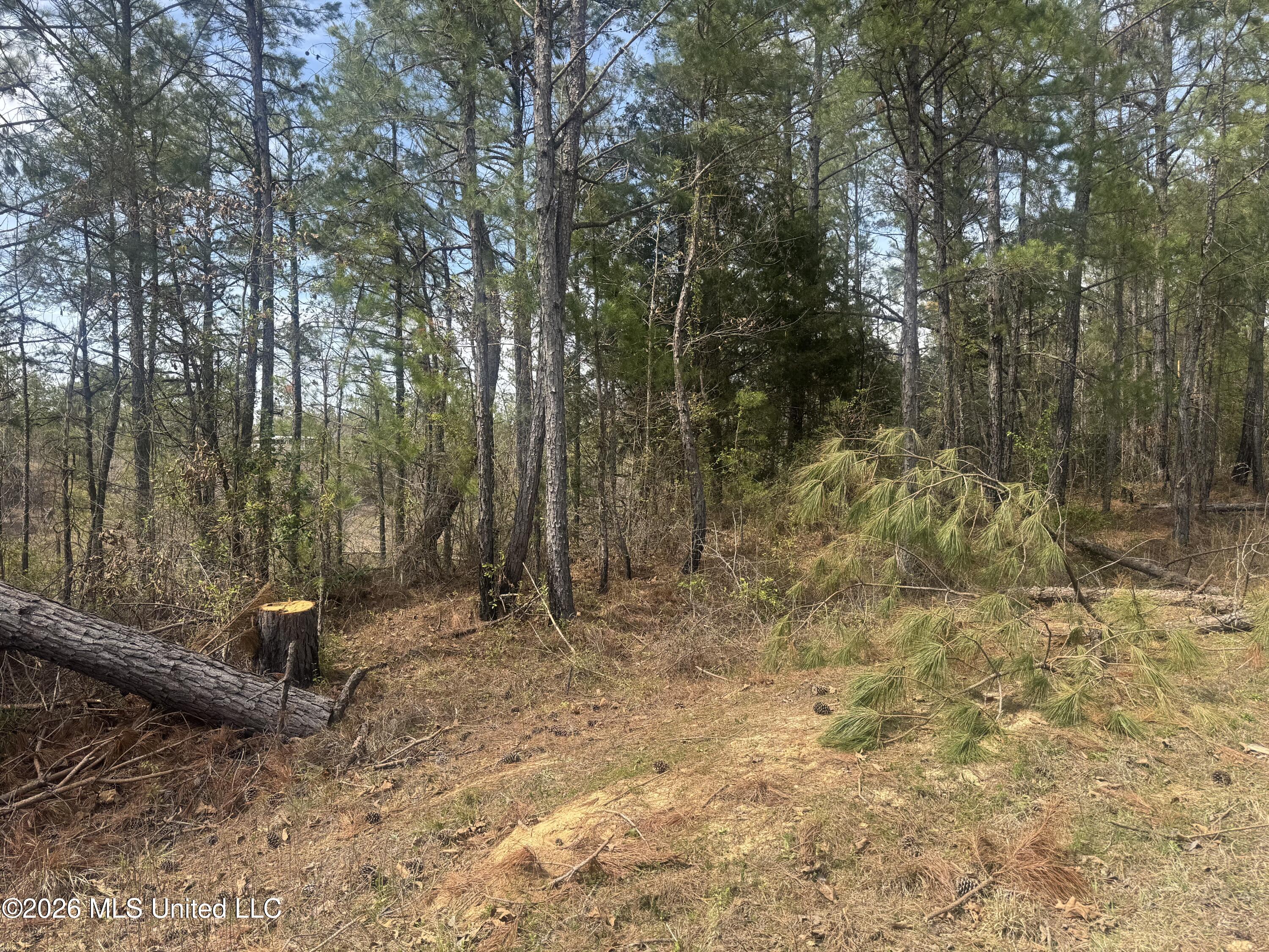 Musgray Road Waterford, MS 38685 - Photo 2 of 2 IMG_0734