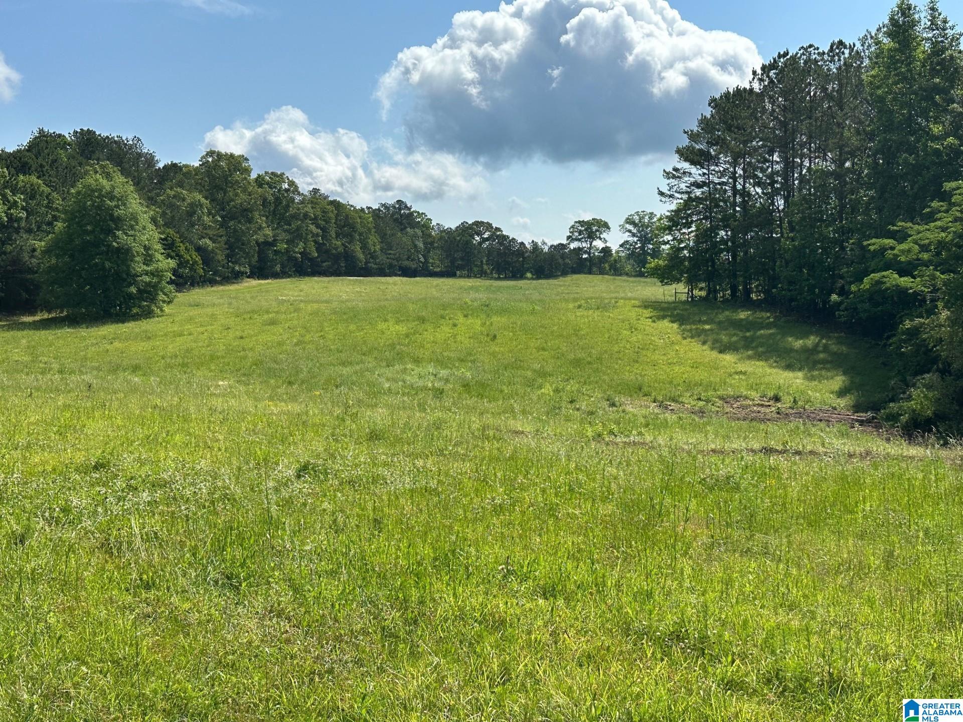 Oaks Chapel Road, Unit 76 Goodwater, AL 35072 - Photo 8 of 25