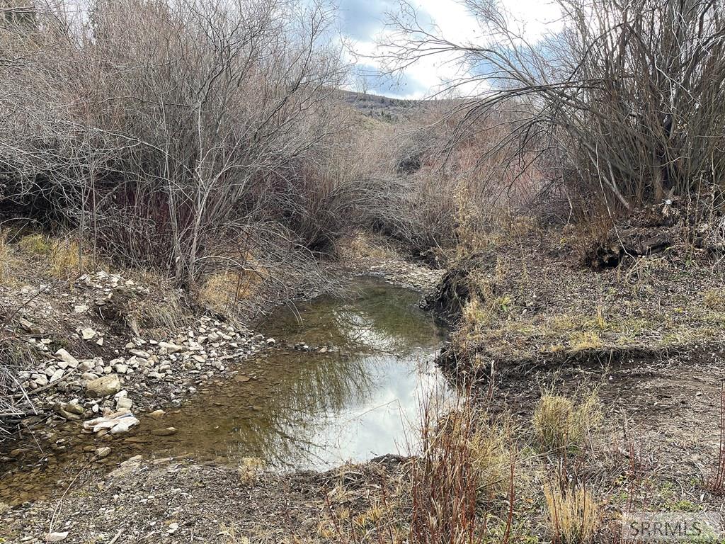 0 Dan Creek Road Shelley, ID 83274 - Photo 14 of 67