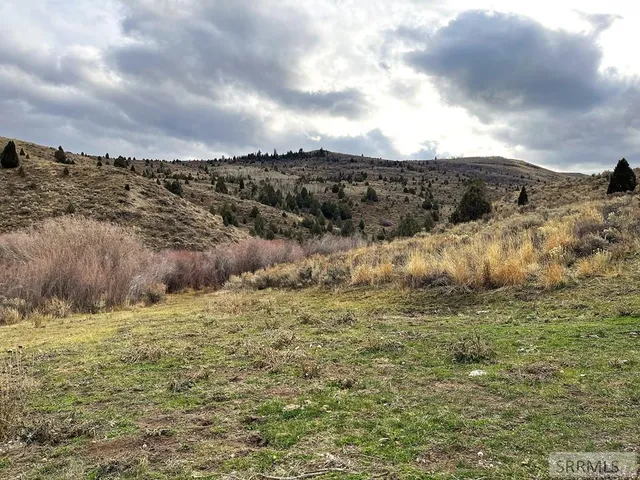 $2,000,000 | 0 Dan Creek Road, Shelley, ID 83274