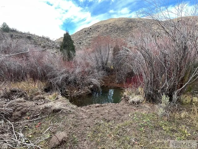 $2,000,000 | 0 Dan Creek Road, Shelley, ID 83274