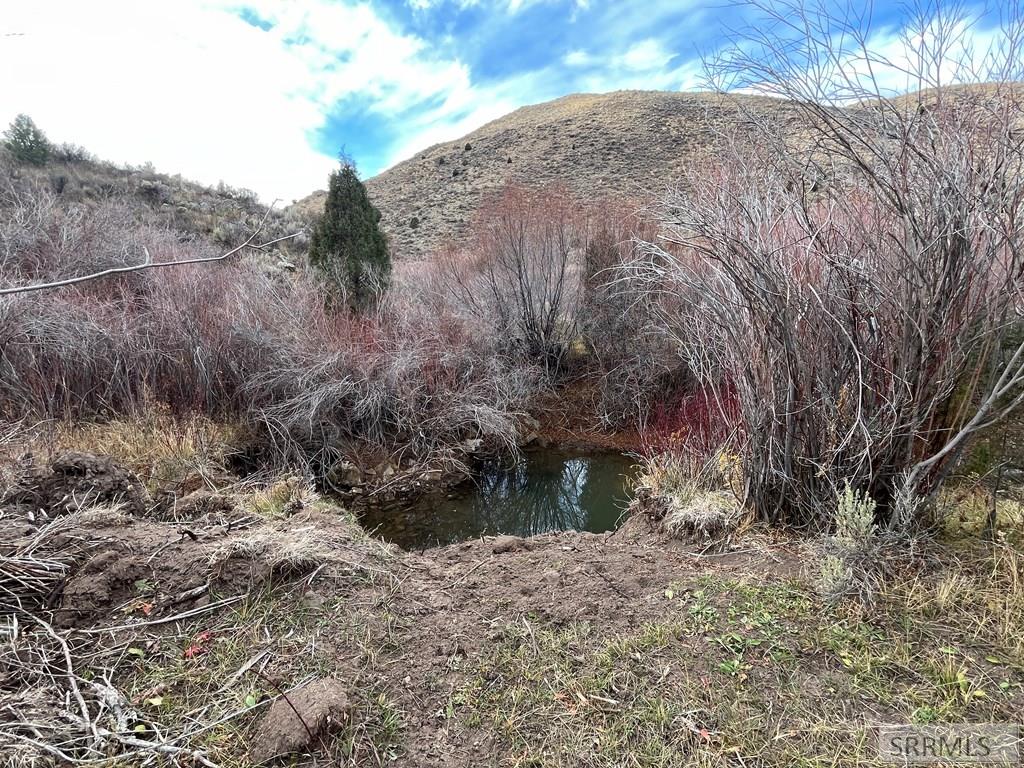0 Dan Creek Road Shelley, ID 83274 - Photo 17 of 67