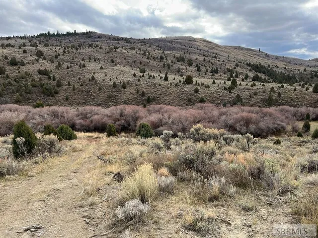 $2,000,000 | 0 Dan Creek Road, Shelley, ID 83274