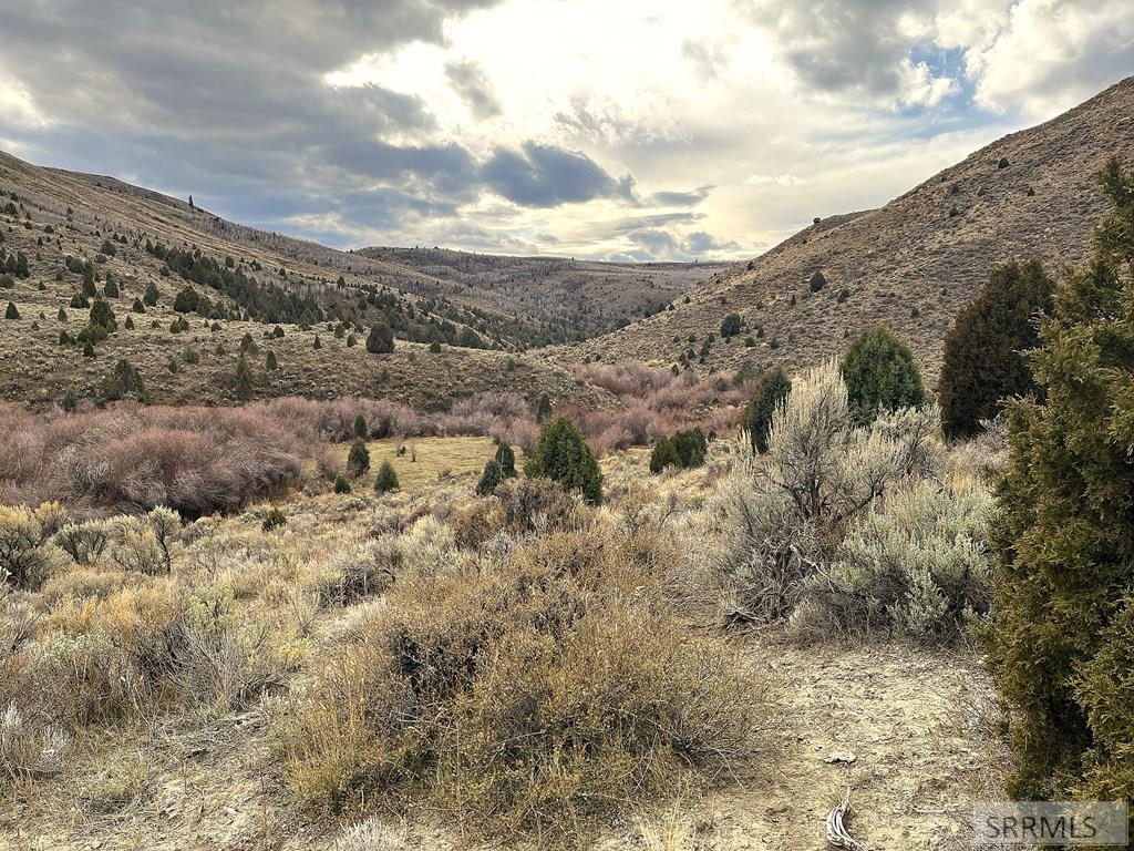 0 Dan Creek Road Shelley, ID 83274 - Photo 19 of 67