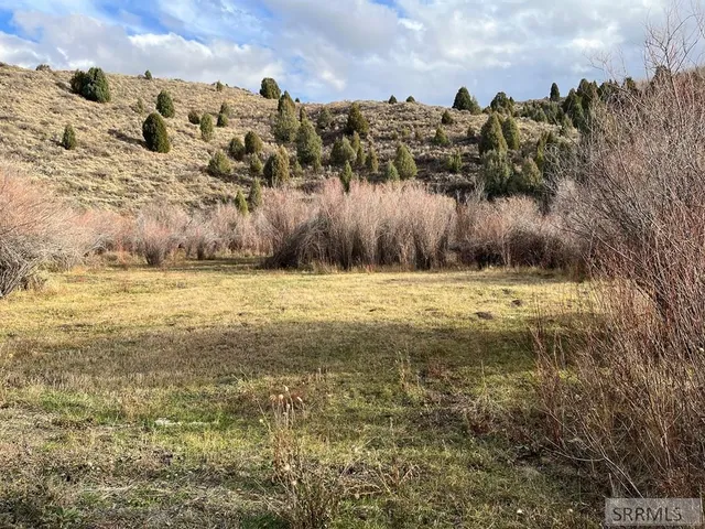 $2,000,000 | 0 Dan Creek Road, Shelley, ID 83274