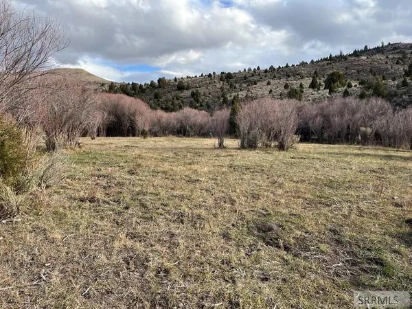 $2,000,000 | 0 Dan Creek Road, Shelley, ID 83274