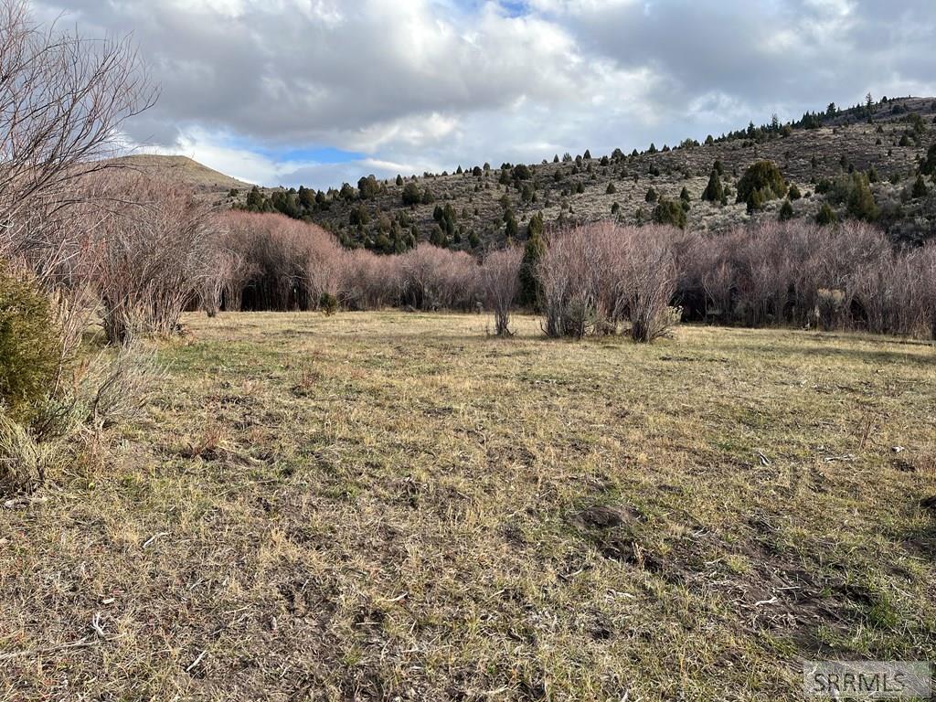 0 Dan Creek Road Shelley, ID 83274 - Photo 22 of 67