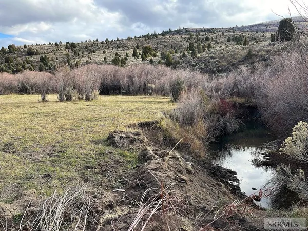 $2,000,000 | 0 Dan Creek Road, Shelley, ID 83274