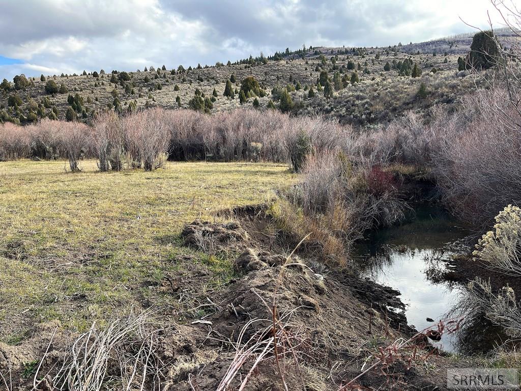 0 Dan Creek Road Shelley, ID 83274 - Photo 23 of 67