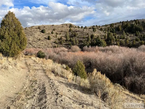 $2,000,000 | 0 Dan Creek Road, Shelley, ID 83274
