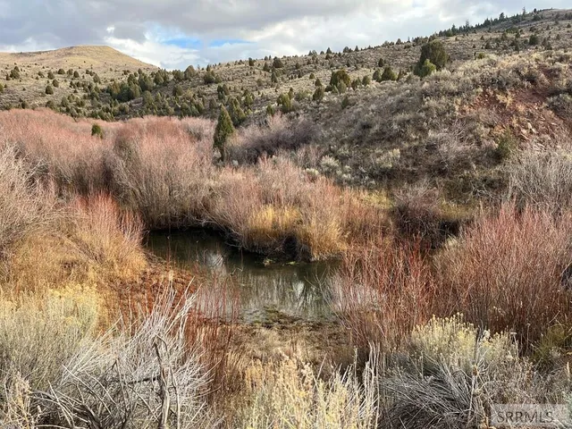 $2,000,000 | 0 Dan Creek Road, Shelley, ID 83274