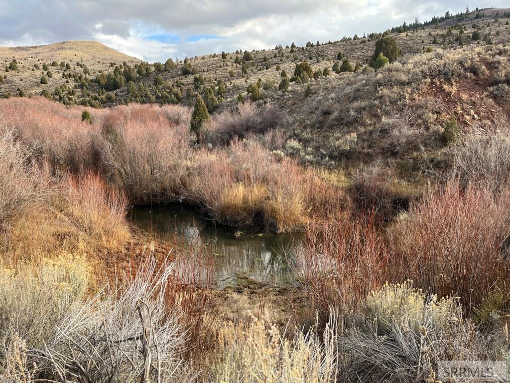 0 Dan Creek Road Shelley, ID 83274 - Photo 25 of 67