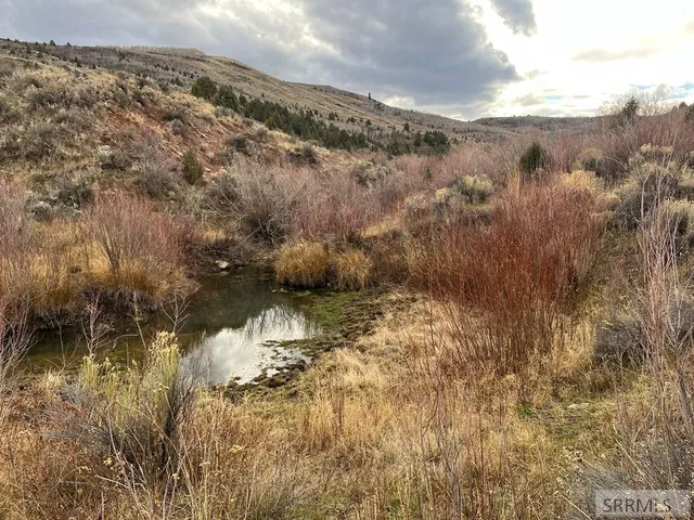 $2,000,000 | 0 Dan Creek Road, Shelley, ID 83274