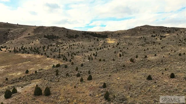 $2,000,000 | 0 Dan Creek Road, Shelley, ID 83274