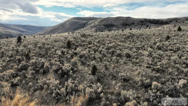 $2,000,000 | 0 Dan Creek Road, Shelley, ID 83274
