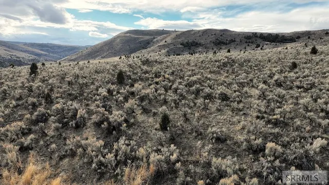 $2,000,000 | 0 Dan Creek Road, Shelley, ID 83274