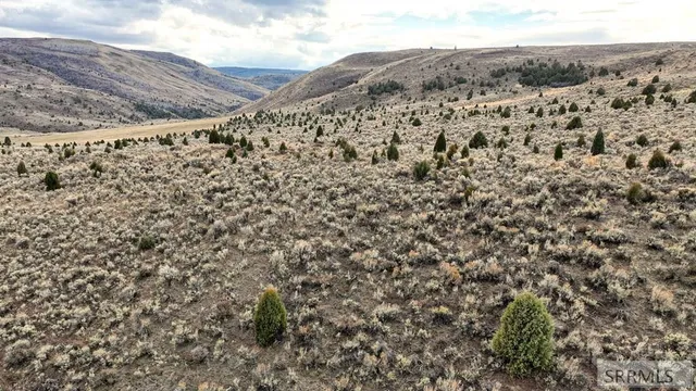 $2,000,000 | 0 Dan Creek Road, Shelley, ID 83274