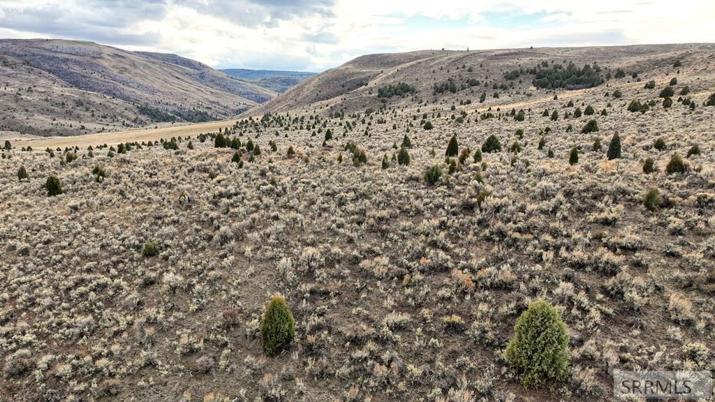 0 Dan Creek Road Shelley, ID 83274 - Photo 35 of 67