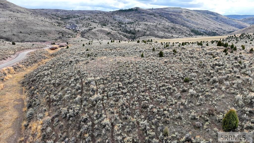 0 Dan Creek Road Shelley, ID 83274 - Photo 36 of 67