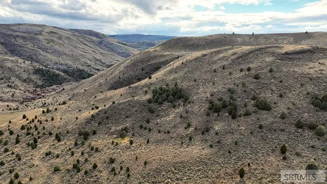 $2,000,000 | 0 Dan Creek Road, Shelley, ID 83274