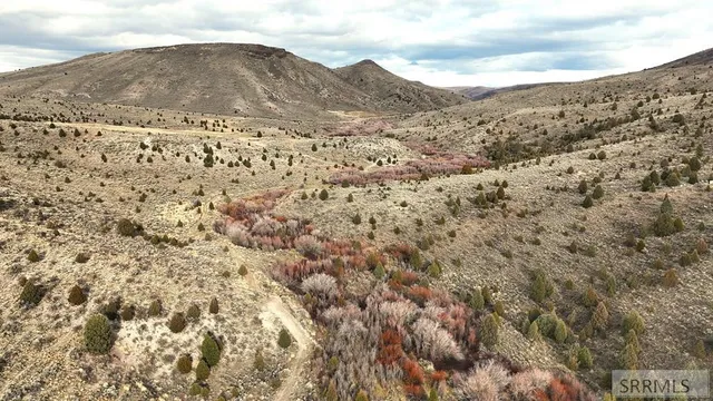 $2,000,000 | 0 Dan Creek Road, Shelley, ID 83274