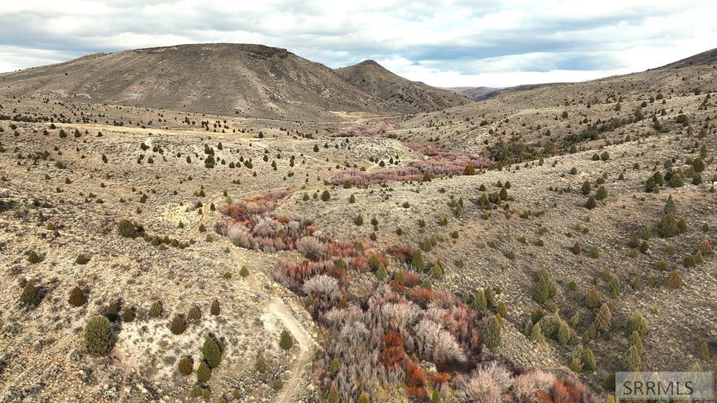 0 Dan Creek Road Shelley, ID 83274 - Photo 43 of 67