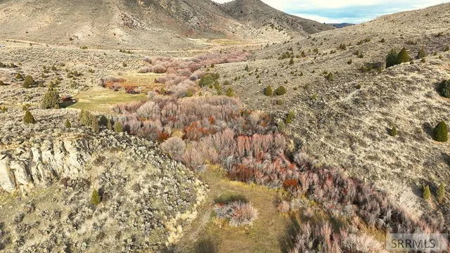 $2,000,000 | 0 Dan Creek Road, Shelley, ID 83274