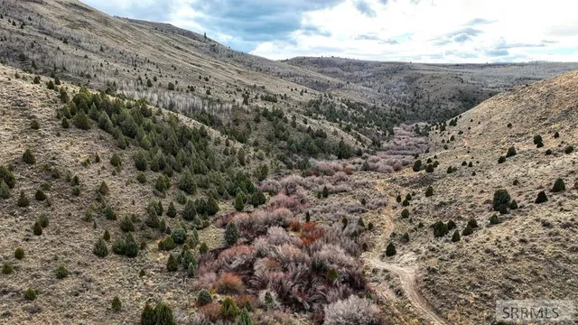 $2,000,000 | 0 Dan Creek Road, Shelley, ID 83274