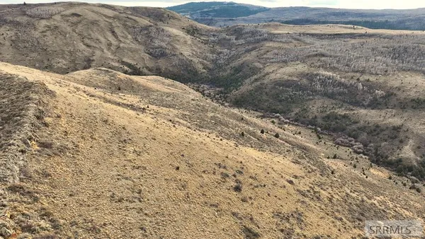 $2,000,000 | 0 Dan Creek Road, Shelley, ID 83274