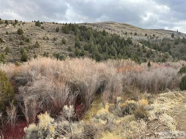 $2,000,000 | 0 Dan Creek Road, Shelley, ID 83274