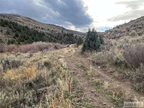 $2,000,000 | 0 Dan Creek Road, Shelley, ID 83274