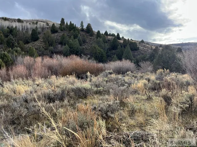 $2,000,000 | 0 Dan Creek Road, Shelley, ID 83274