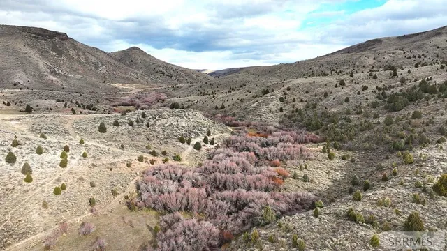 $2,000,000 | 0 Dan Creek Road, Shelley, ID 83274