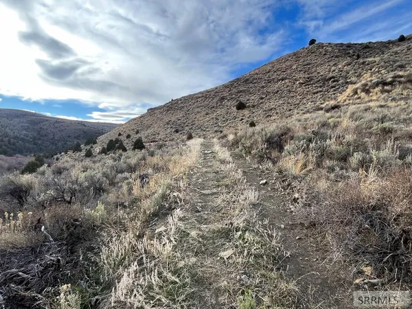 $2,000,000 | 0 Dan Creek Road, Shelley, ID 83274