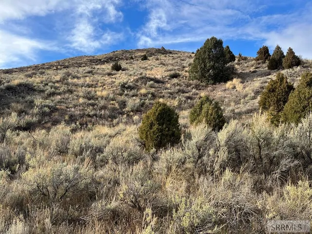 $2,000,000 | 0 Dan Creek Road, Shelley, ID 83274