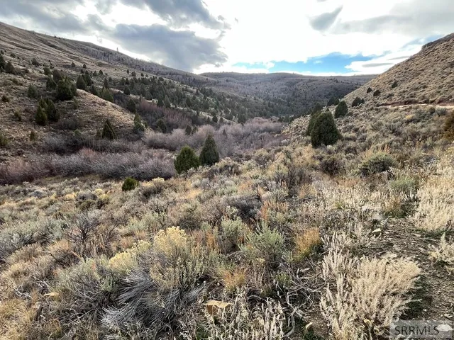 $2,000,000 | 0 Dan Creek Road, Shelley, ID 83274