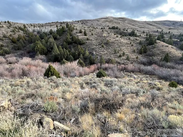 $2,000,000 | 0 Dan Creek Road, Shelley, ID 83274