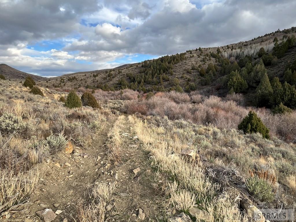 0 Dan Creek Road Shelley, ID 83274 - Photo 65 of 67