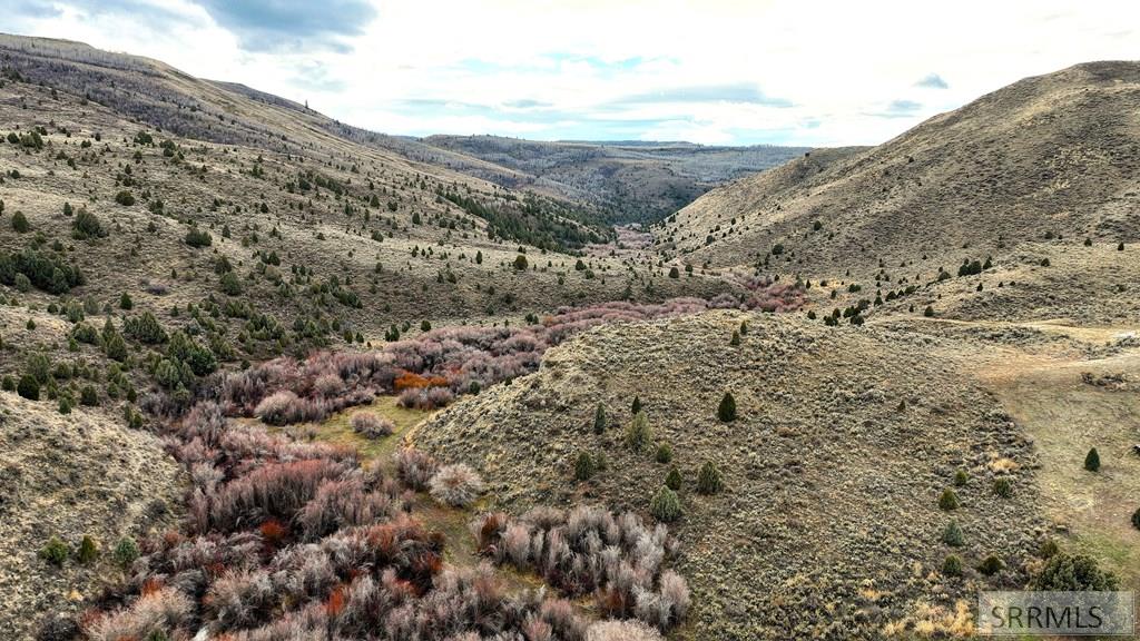 0 Dan Creek Road Shelley, ID 83274 - Photo 7 of 67
