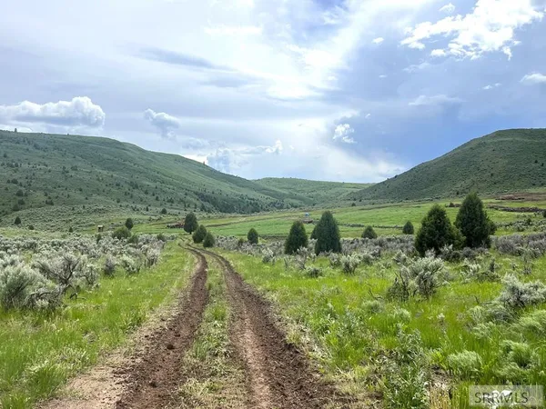 $2,000,000 | 0 Dan Creek Road, Shelley, ID 83274