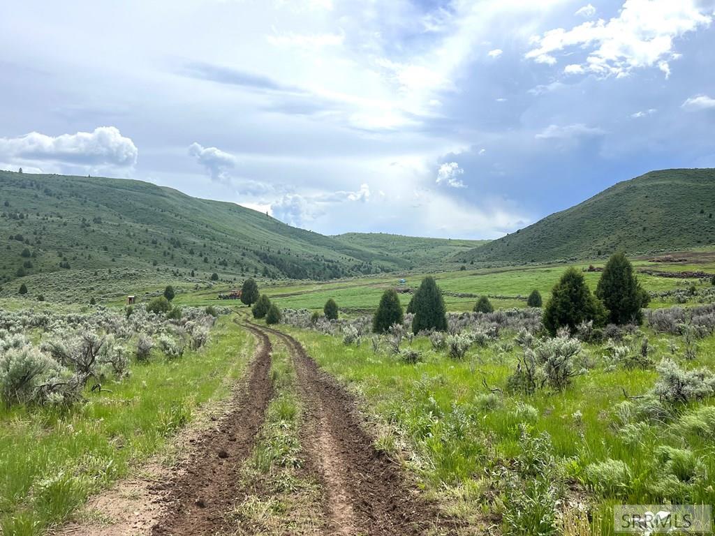 0 Dan Creek Road Shelley, ID 83274 - Photo 9 of 67