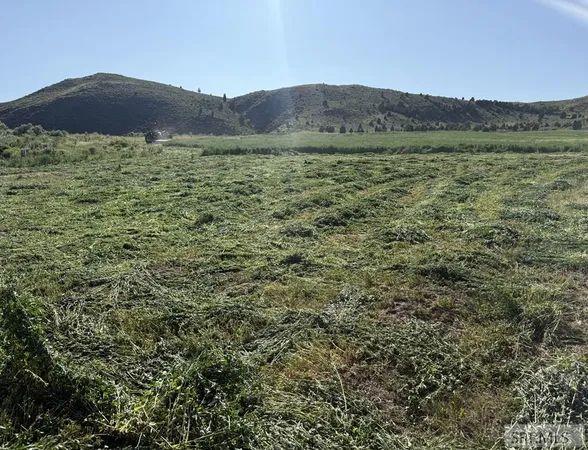 $2,000,000 | 0 Dan Creek Road, Shelley, ID 83274