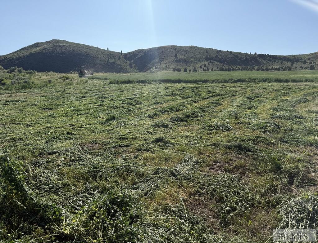 0 Dan Creek Road Shelley, ID 83274 - Photo 10 of 67