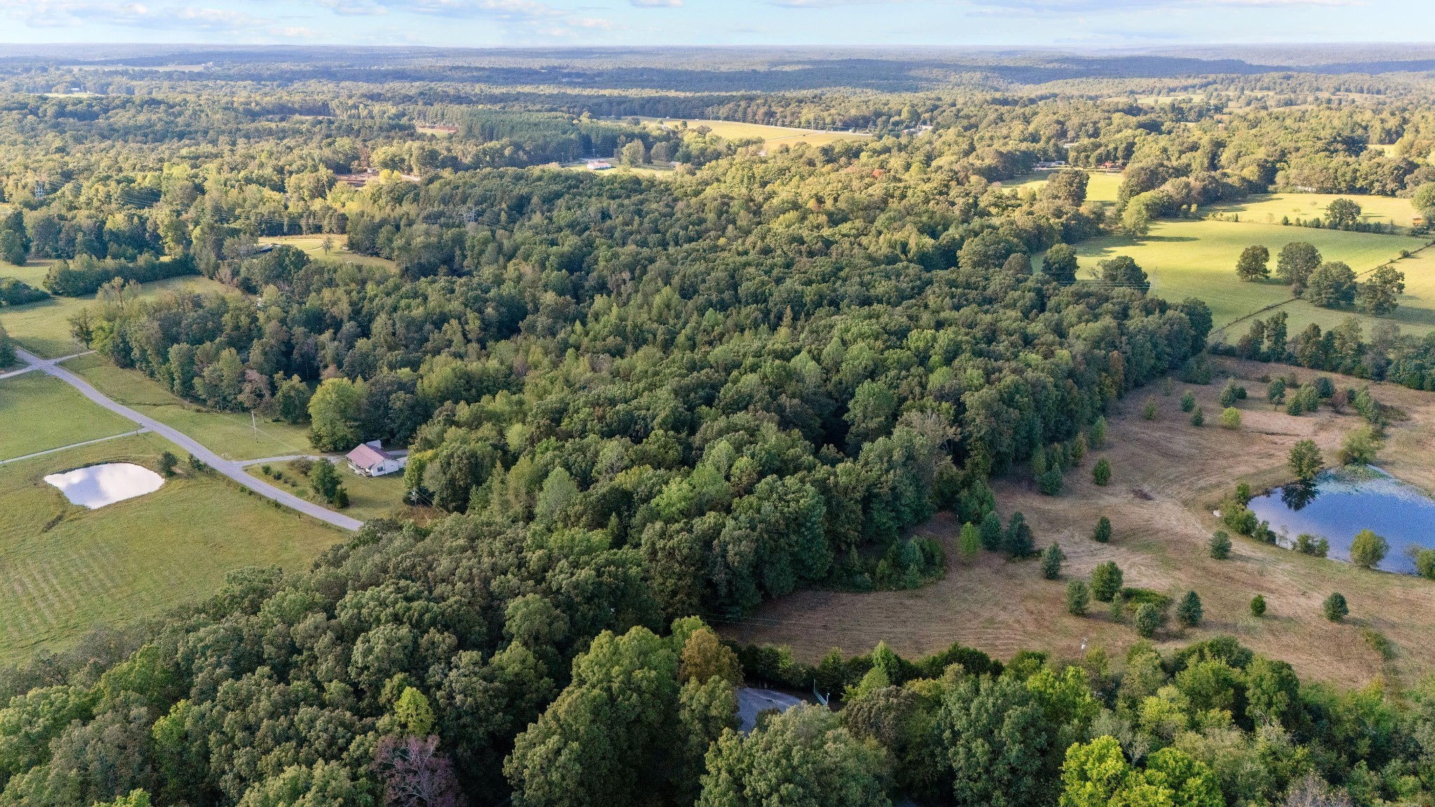 1127 Pruett Road Dickson, TN 37055 - Photo 2 of 39 an aerial view of a city and mountains
